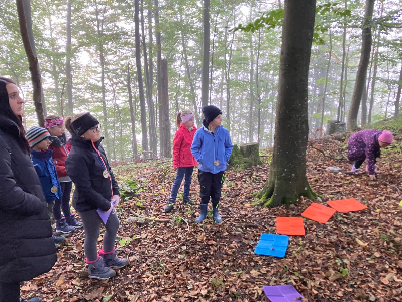 Waldtag der 2.Klassen