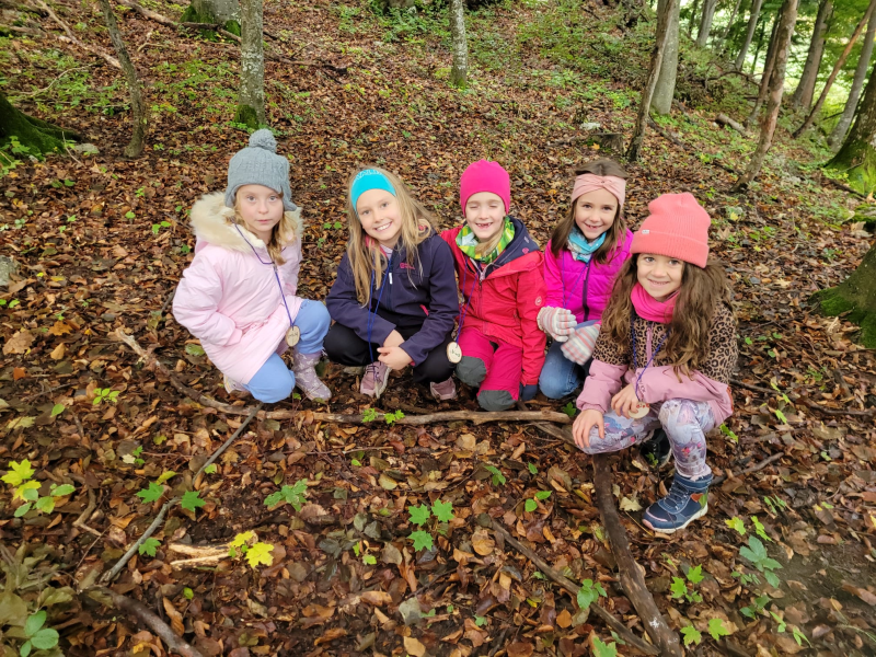 Waldtag der 2.Klassen