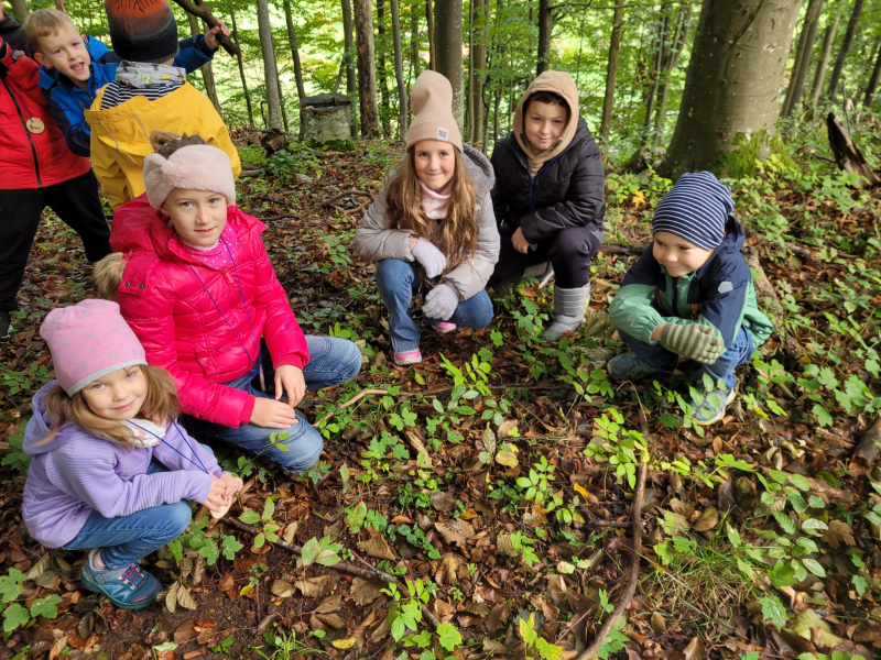 Waldtag der 2.Klassen