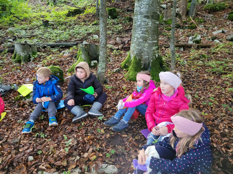 Waldtag der 2.Klassen