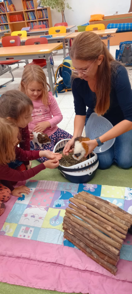 Tierischer Besuch und der VSKL