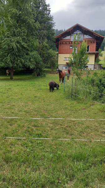 Lehrausgang zu Familie Sigl