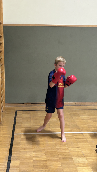 Kickboxen und Fußball