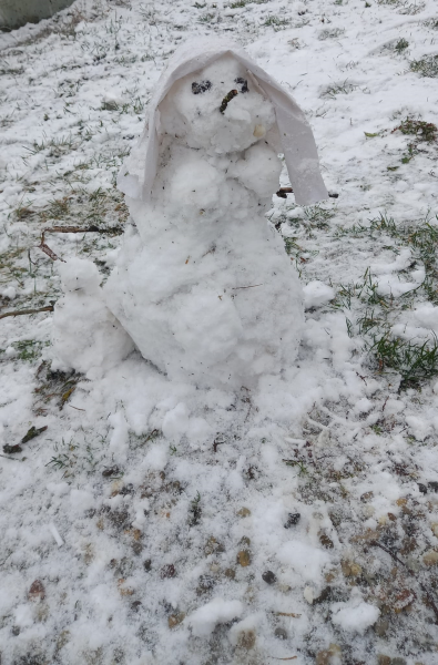 Der erste Schnee
